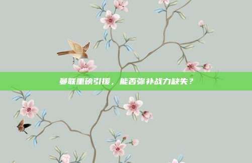 曼联重磅引援，能否弥补战力缺失？