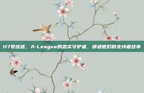 117号球迷，A-League的忠实守护者，讲述他们的支持者故事