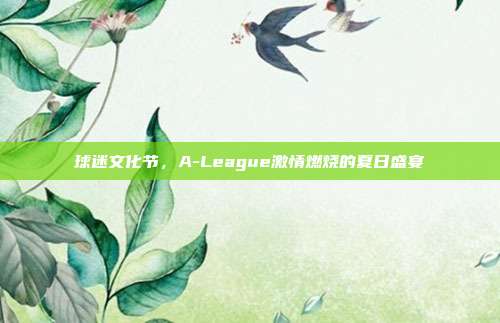 球迷文化节，A-League激情燃烧的夏日盛宴