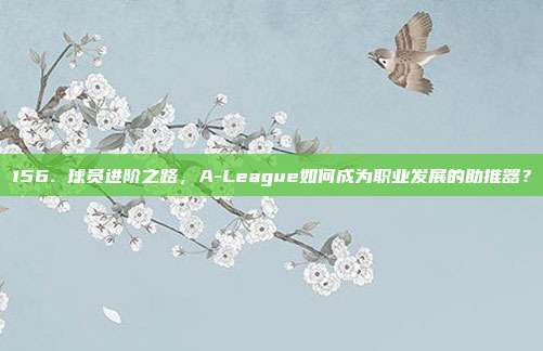 156. 球员进阶之路，A-League如何成为职业发展的助推器？