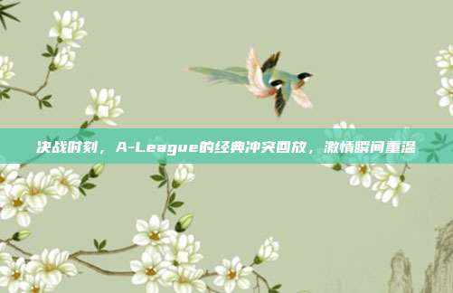 决战时刻，A-League的经典冲突回放，激情瞬间重温