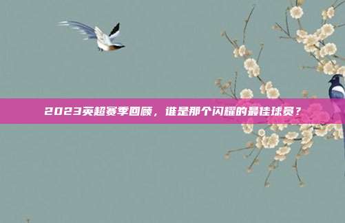 2023英超赛季回顾，谁是那个闪耀的最佳球员？