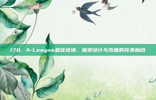 170. A-League最佳球场，探索设计与氛围的完美融合