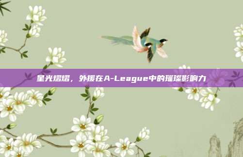 星光熠熠，外援在A-League中的璀璨影响力