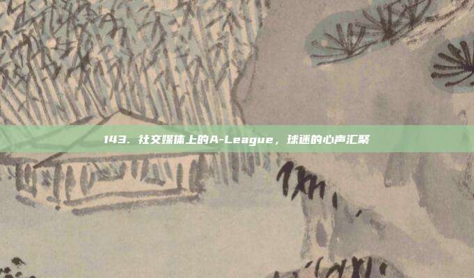 143. 社交媒体上的A-League，球迷的心声汇聚