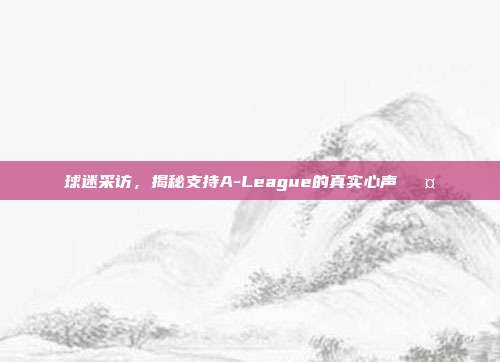 球迷采访，揭秘支持A-League的真实心声🎤