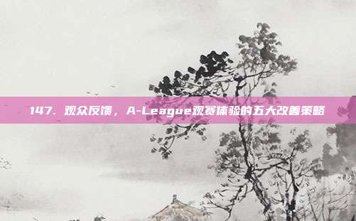 147. 观众反馈，A-League观赛体验的五大改善策略